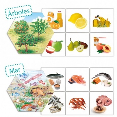 Ilustrações e fotos de frutas e frutos do mar organizadas em duas categorias: Árboles e Mar.