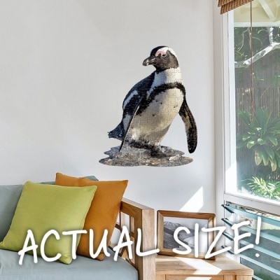 Autocolante de pinguim em tamanho real numa parede acima de sofá com almofadas coloridas