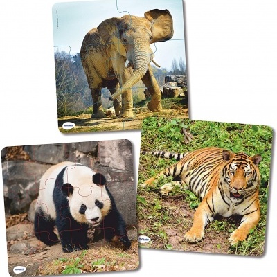 Três puzzles quadrados com imagens de um elefante, um panda e um tigre na natureza