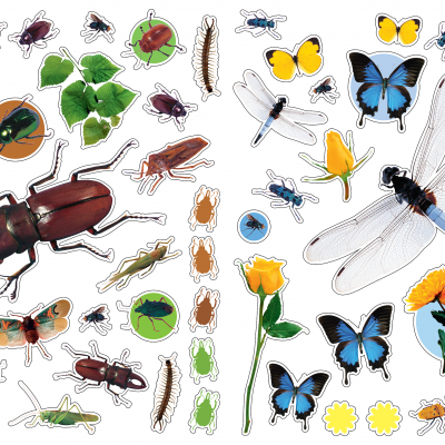 Autocolantes coloridos de insetos, borboletas e flores sobre fundo branco