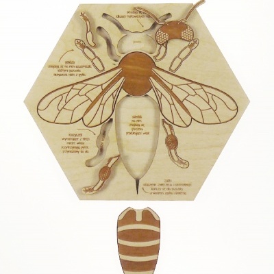 Quebra-cabeças de madeira hexagonal com imagem de abelha e texto explicativo
