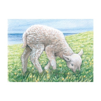 Desenho de cordeiro branco pastando na relva junto ao mar