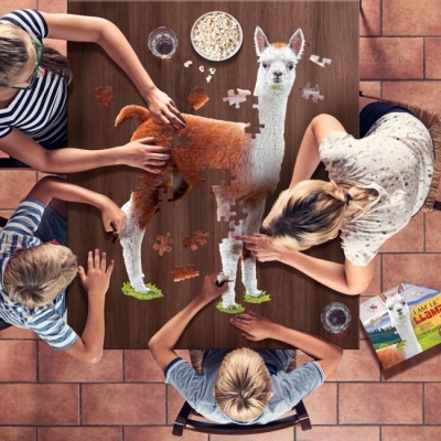 Puzzle de lhama sendo montado à mesa por quatro pessoas, acompanhados de pipocas e bebidas.