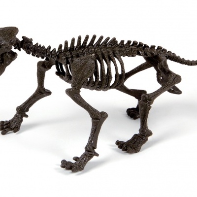 Esqueleto de brinquedo de tigre dente-de-sabre em plástico preto