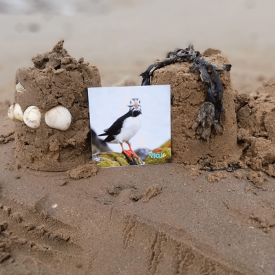 Castelos de areia na praia com cartão de pássaro