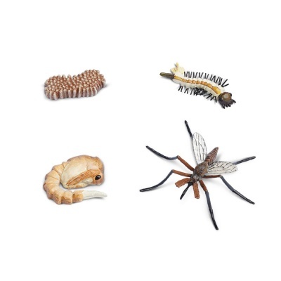 Modelos realistas de insetos e larvas em fundo branco