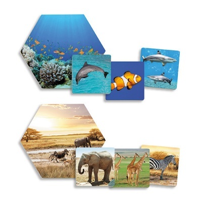 Ímanes decorativos com imagens de animais marinhos e terrestres em ambientes naturais