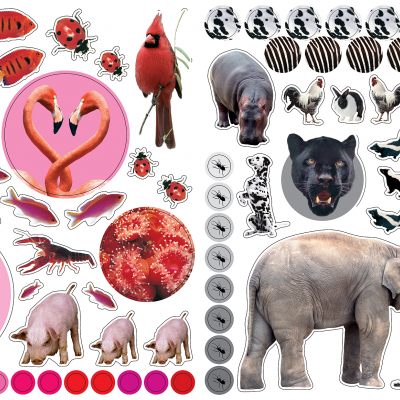 Vários autocolantes de animais e formas coloridas sobre fundo branco.