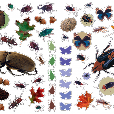 Autocolantes coloridos de insetos, folhas de outono, bolotas e pedras