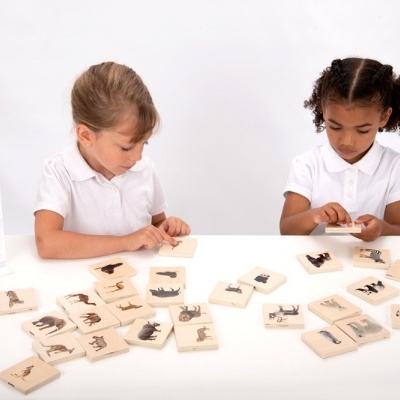 Crianças a jogar com blocos de madeira com animais em fundo branco