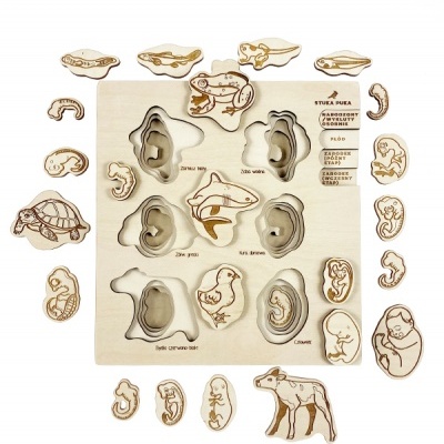 Quebra-cabeças de madeira com figuras de animais e estágios embrionários.