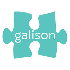 Peça de puzzle azul-turquesa com texto 'galison'