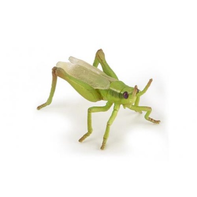 Brinquedo ou figura de inseto verde com asas translúcidas