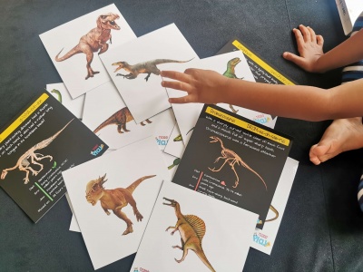 Cartões educativos com imagens de dinossauros e texto explicativo