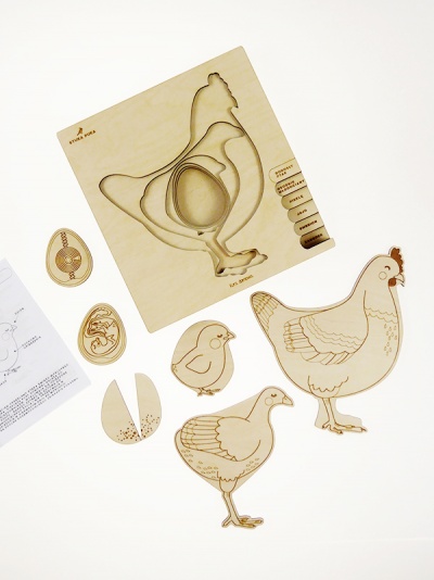 Peças educativas em madeira que mostram diferentes fases da vida da galinha em recortes