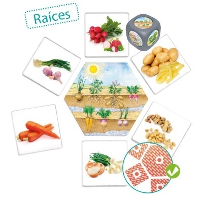 Tipos de raízes com vegetais e corte do solo mostrando crescimento