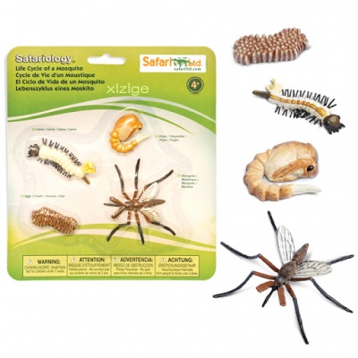 Conjunto de figuras em plástico representando o ciclo de vida do mosquito com embalagem verde da Safari Ltd.