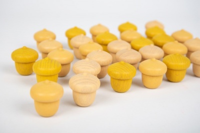 Cogumelos de madeira amarelos e naturais alinhados em fundo branco