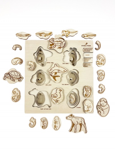 Quebra-cabeças de madeira com figuras de animais e estágios embrionários.