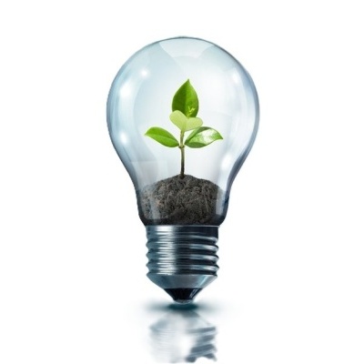 Lâmpada transparente com planta verde dentro e base metálica