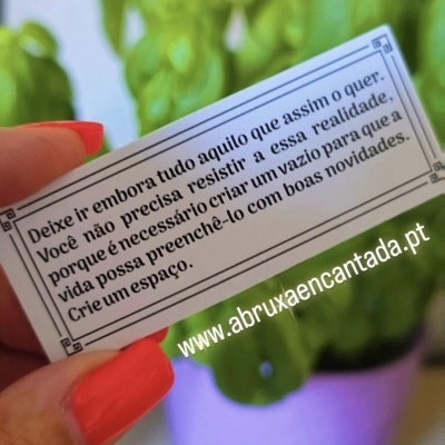 Etiqueta com texto em português sobre fundo com planta em vaso roxo