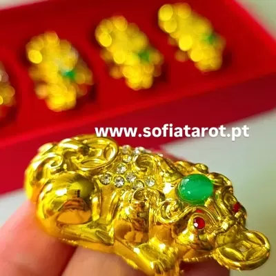 Figurinha dourada de sapo com pedras coloridas e estojo vermelho ao fundo