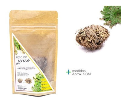 Embalagem de Rosa de Jericó ao lado de planta seca em fundo branco