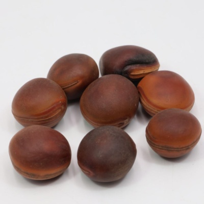 Oito castanhas secas com casca castanha sobre fundo branco