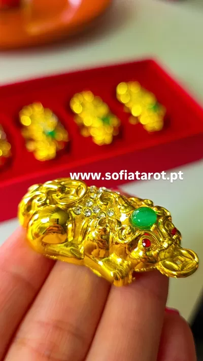 Figurinha dourada de sapo com pedras coloridas e estojo vermelho ao fundo