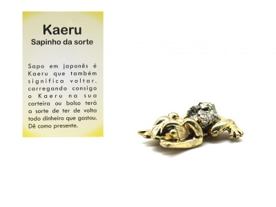 Figura metálica dourada de sapo e cartão explicativo ao fundo