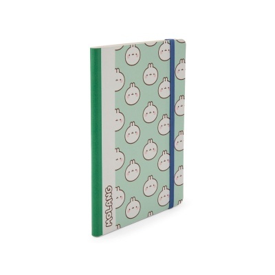 Caderno com capa estampada, lombada verde e faixa elástica azul