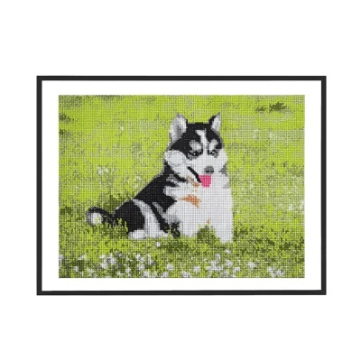 Pintura pontilhada de Husky num campo verde com flores, moldura preta