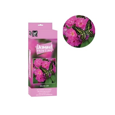 Embalagem de kit de pintura de diamante com borboleta amarela e preta sobre flores rosas
