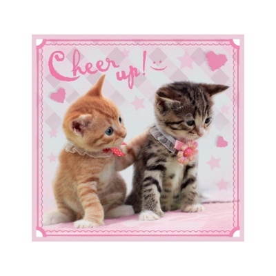 Dois gatinhos com golas, fundo decorado com corações e texto 'Cheer up !'.