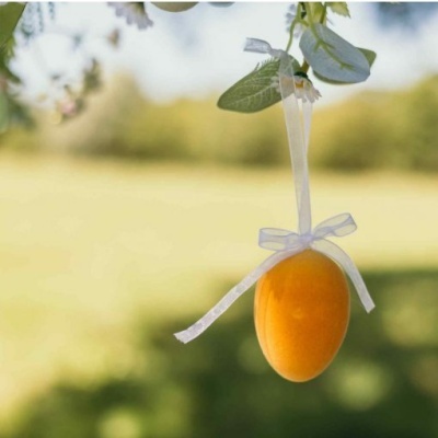 Ovo decorativo laranja pendurado com fita branca num ramo