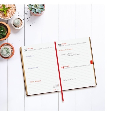 Agenda aberta com páginas datadas, marcador vermelho e plantas suculentas ao lado