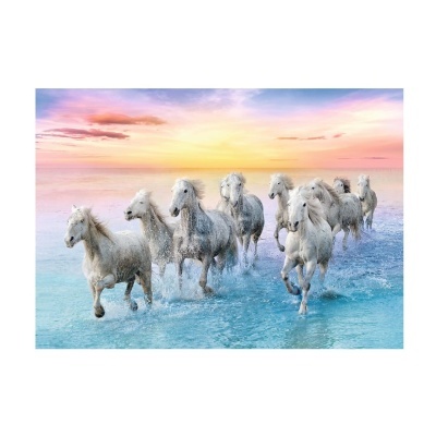 Cavalos brancos a correr na água ao pôr do sol