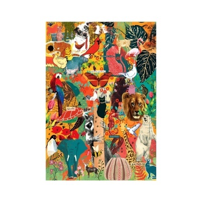 Pôster colorido com várias ilustrações de animais e elementos tropicais.