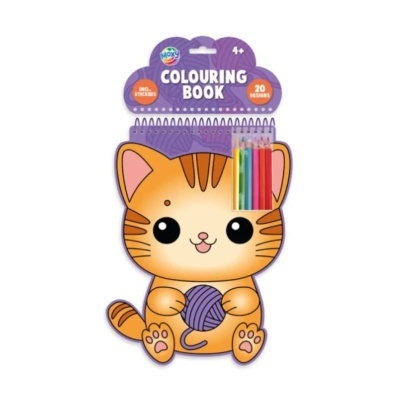 Livro de colorir gatinho laranja com 20 lápis de cor em embalagem de cartão