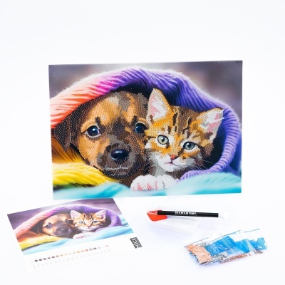 Kit de pintura de diamante com desenho de cão e gato numa manta colorida