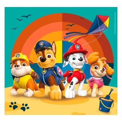 Quatro cães da Paw Patrol com roupas coloridas numa praia com balão e balde de areia.