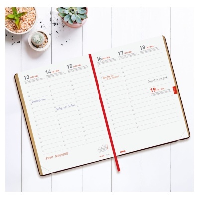 Agenda semanal aberta com datas de 13 a 19 fevereiro 2023 e plantas suculentas sobre mesa branca