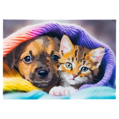 Cão e gato juntos sob cobertor colorido em imagem artística