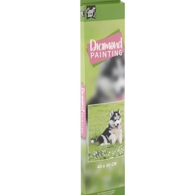Embalagem verde de kit Diamond Painting com imagem de cão Husky Siberiano deitado na relva.