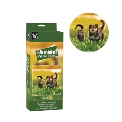 Caixa verde e amarela de pintura de diamante com imagem de cachorro e gato em campo florido.