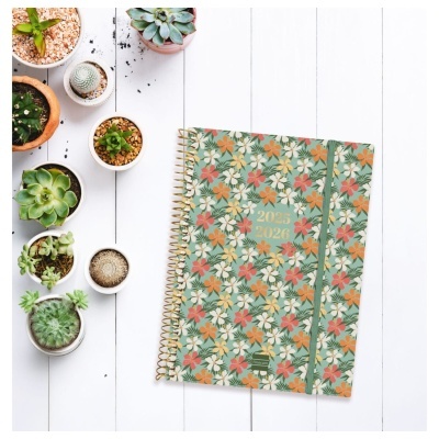 Agenda floral com texto 2025 2026 ao lado de suculentas e cactos em vasos pequenos