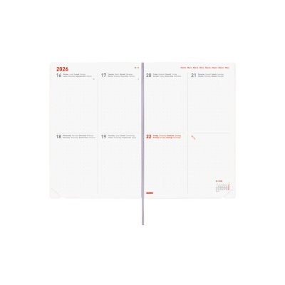 Agenda aberta mostrando dias de novembro de 2026 com texto em vermelho e preto