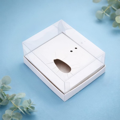 Caixa transparente com recorte de gato sobre fundo azul