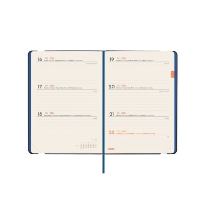 Agenda aberta mostrando dias da semana em português