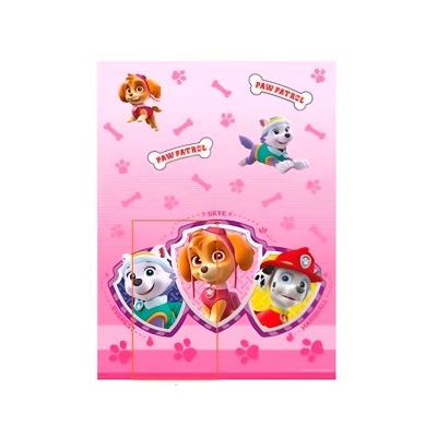Cartaz rosa com personagens da série infantil PAW PATROL e desenhos de ossos e patas.